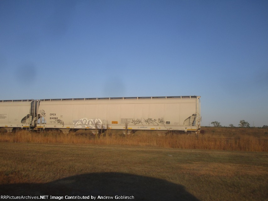 CPCX 814062